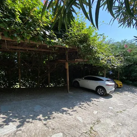 Bed & Breakfast Om-nia Town *